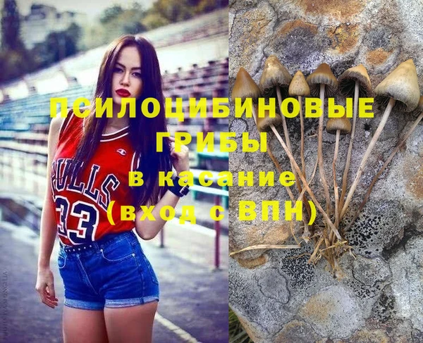 стафф Киренск