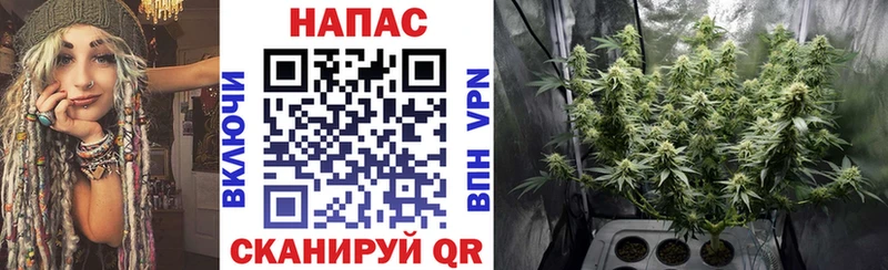 Купить где  Ветлуга  Шишки марихуана тримм 